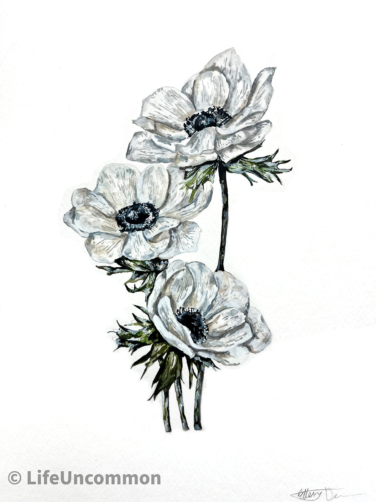 White Flowers - Watercolour