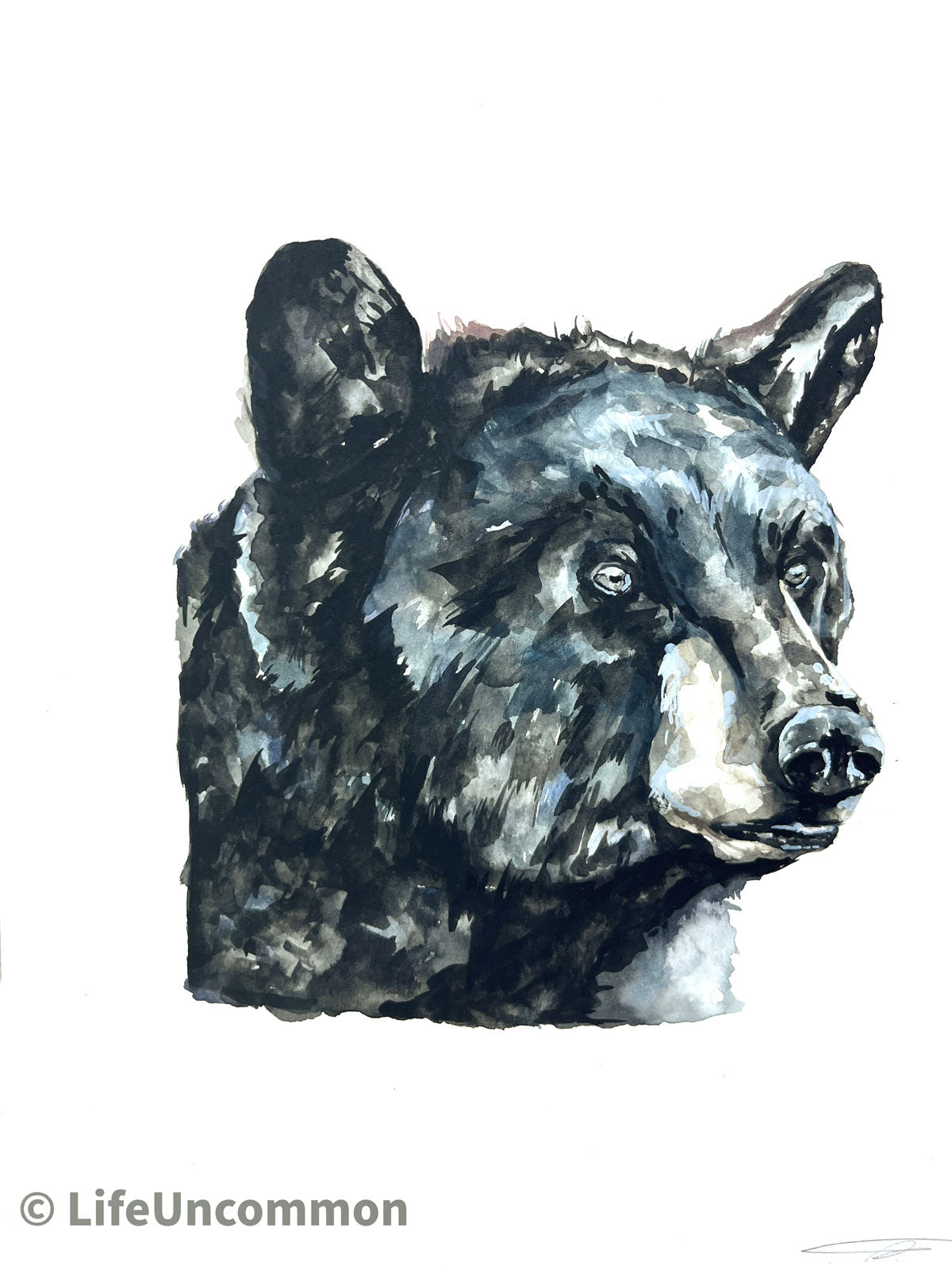 Backcountry Bear - Watercolour