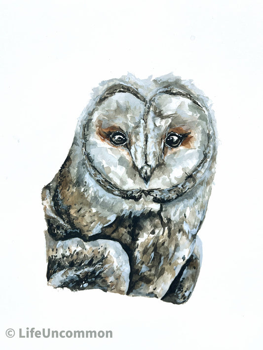 Eyeliner Owl - Watercolour