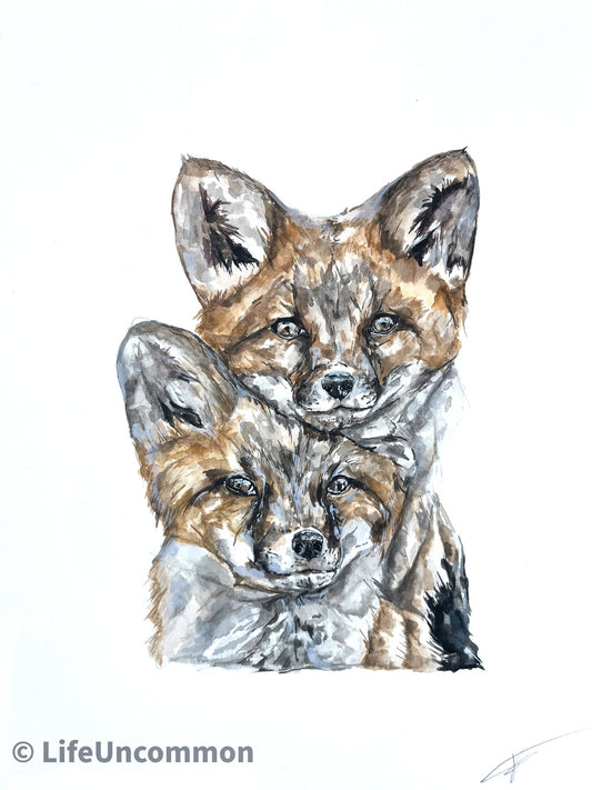 Fox Siblings - Watercolour