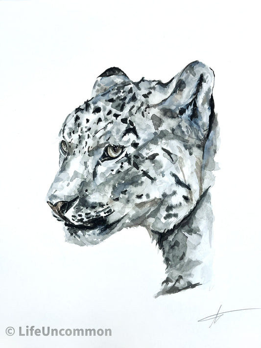 Snow Leopard - Watercolour