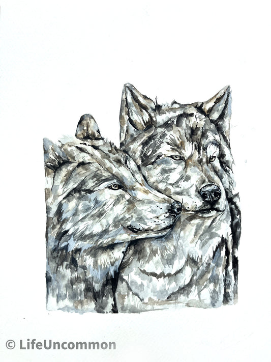 Wolf Couple - Watercolour