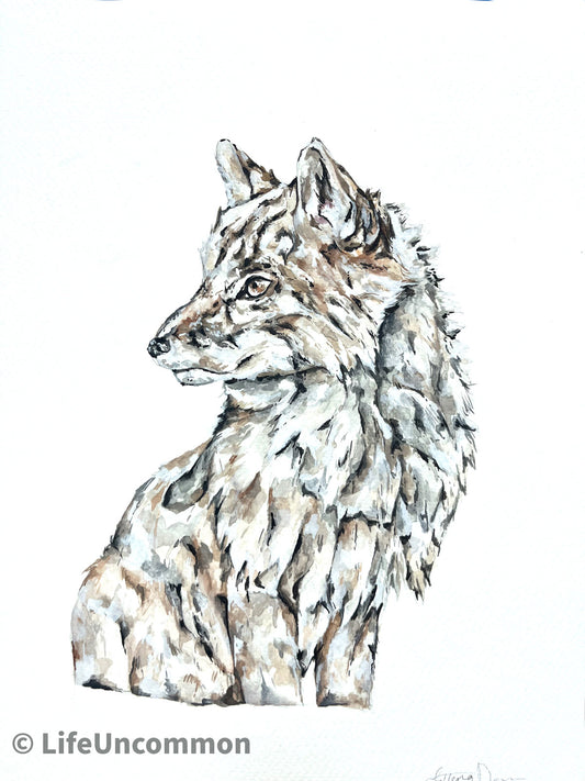 Arctic Fox - Watercolour