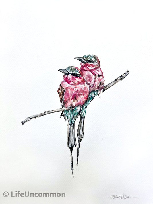 Pink Bird Couple - Watercolour