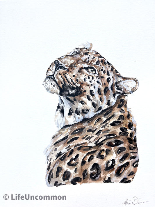 Java Leopard - Watercolour