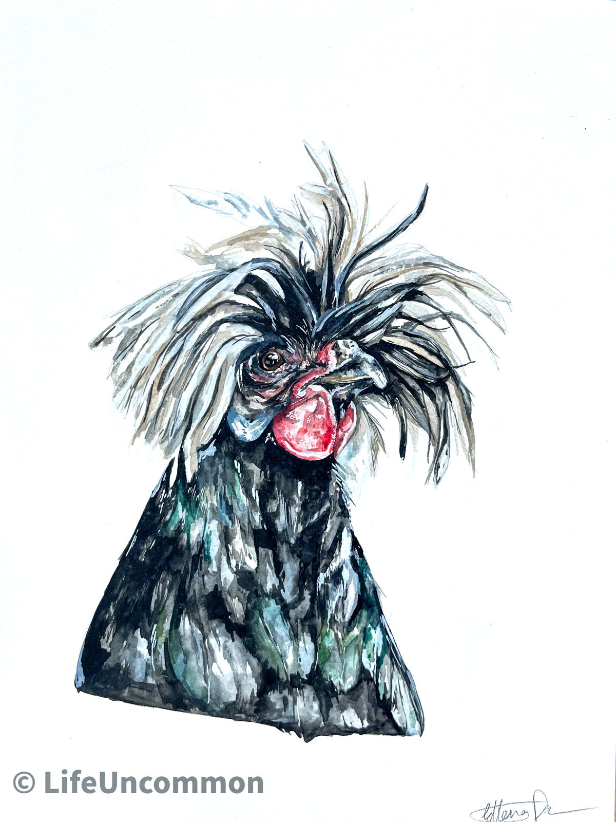 Debbie the Hen - Watercolour