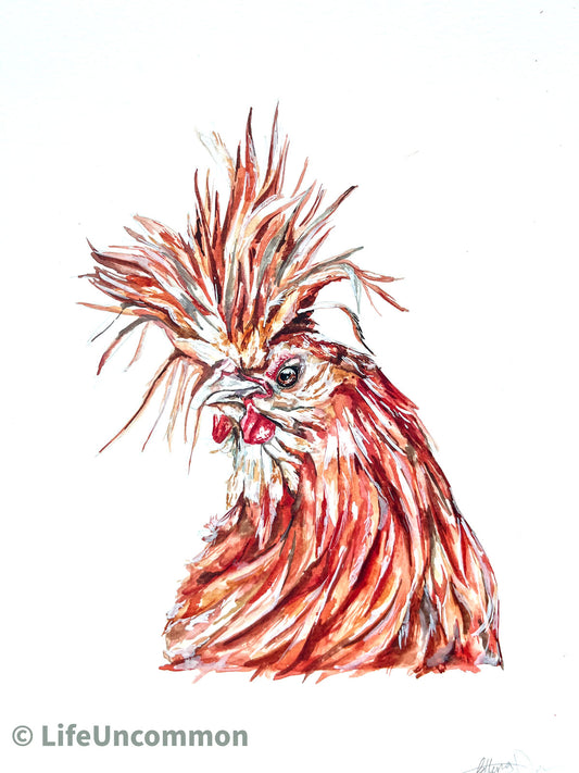 Margaret the Hen - Watercolour