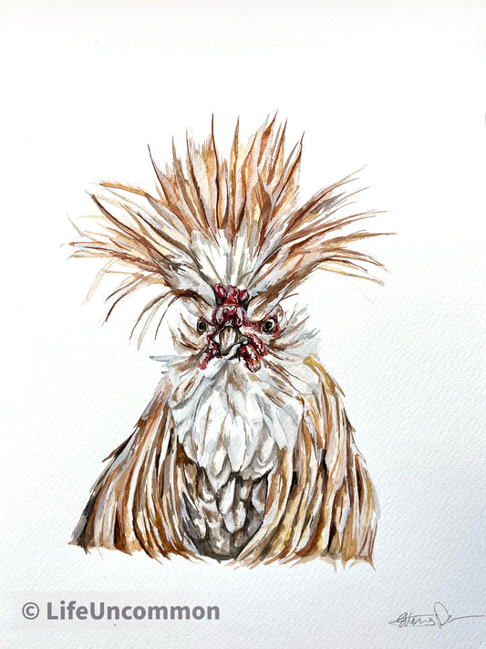 Shannon Hen - Watercolour